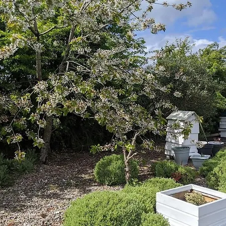 Islay View- Double Bed Apartment Macosquin Exterior photo